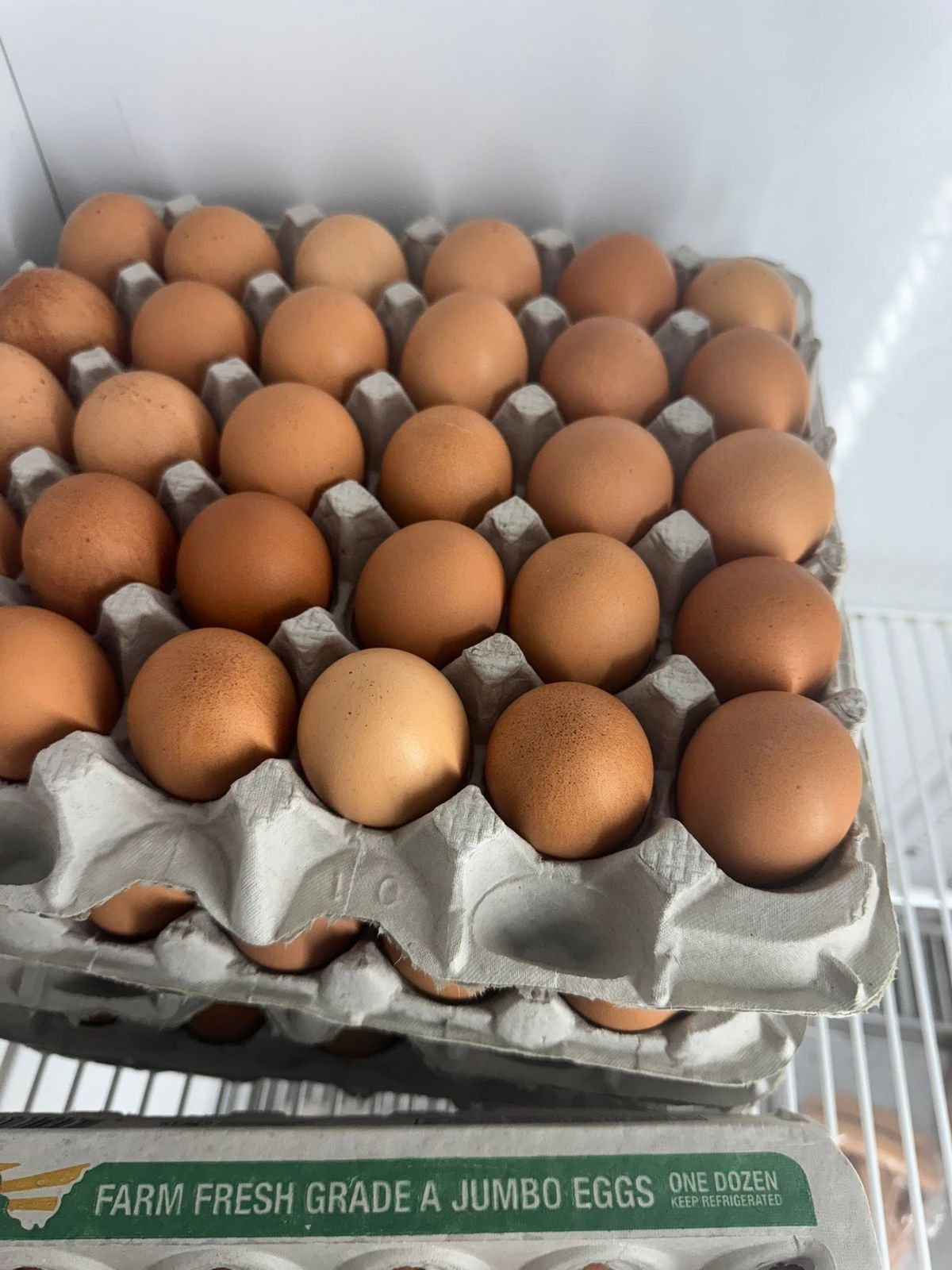 Farm fresh Grade A jumbo eggs from Max Farms